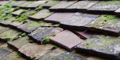 Pertenhall roof repair costs